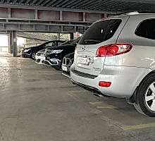 img cat parking